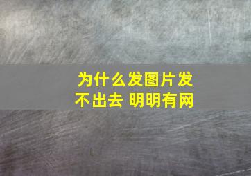 为什么发图片发不出去 明明有网